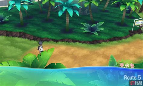 alola route 5|akala island route 5.